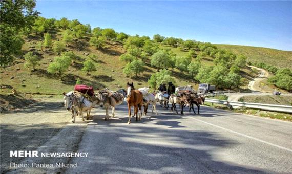 کوچ بهاره 12 هزار عشایر اردبیل به ییلاقات