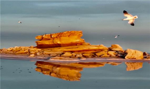 یک جزیره دیگر دریاچه ارومیه را آب محاصره کرد / پس از 5 سال آب به کلاه پدربزرگ رسید